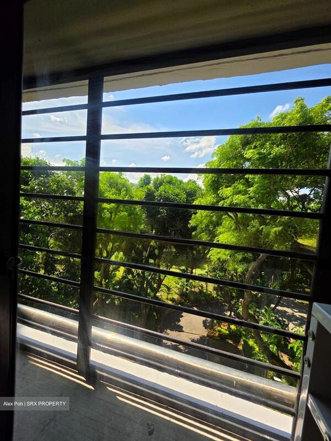 Lower Delta Road (D3), Condominium #475800481